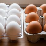 【卵の定点観測】10個入りパックと「ヨード卵・光」の店舗別価格比較レポート